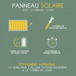 PANNEAU SOLAIRE LCDP